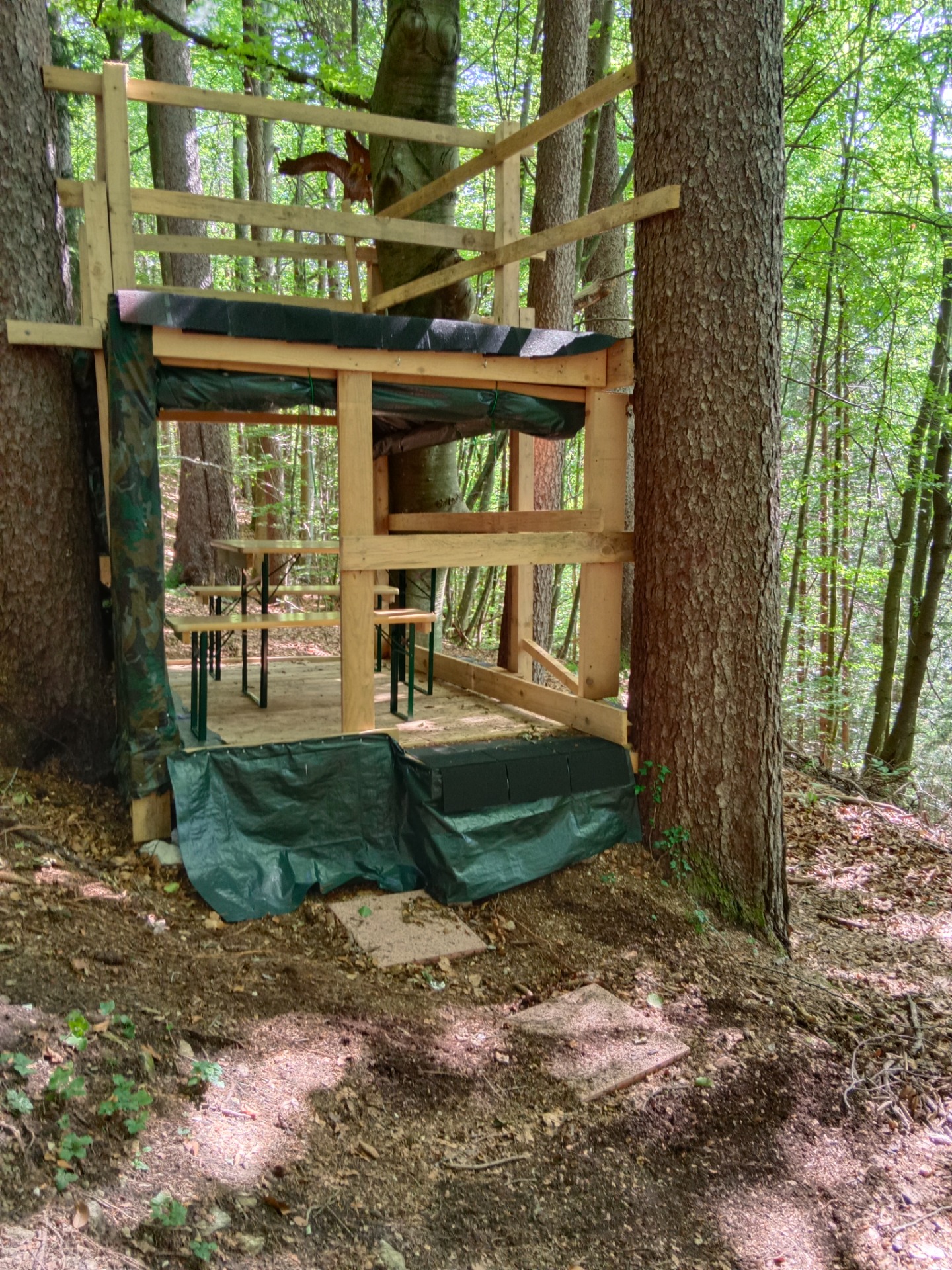 Labe und Hochstand